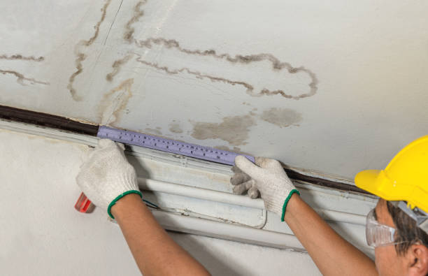 Reliable Water Damage contractor in Hopkins, MI by Water Damage Irwin